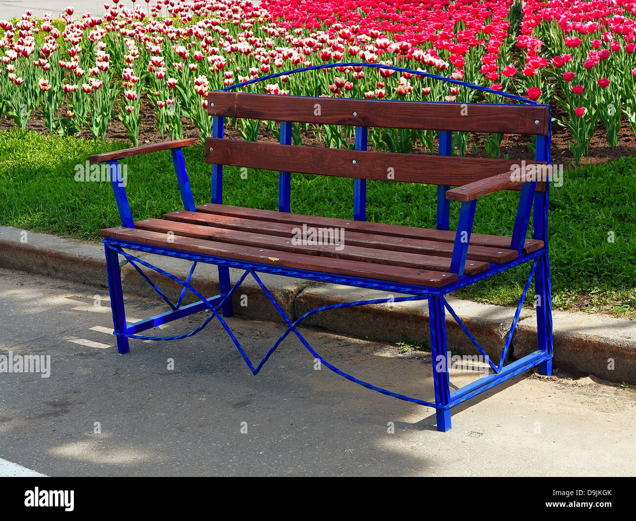 Svuotare una panchina nel parco in mezzo a fioritura di tulipani Foto Stock