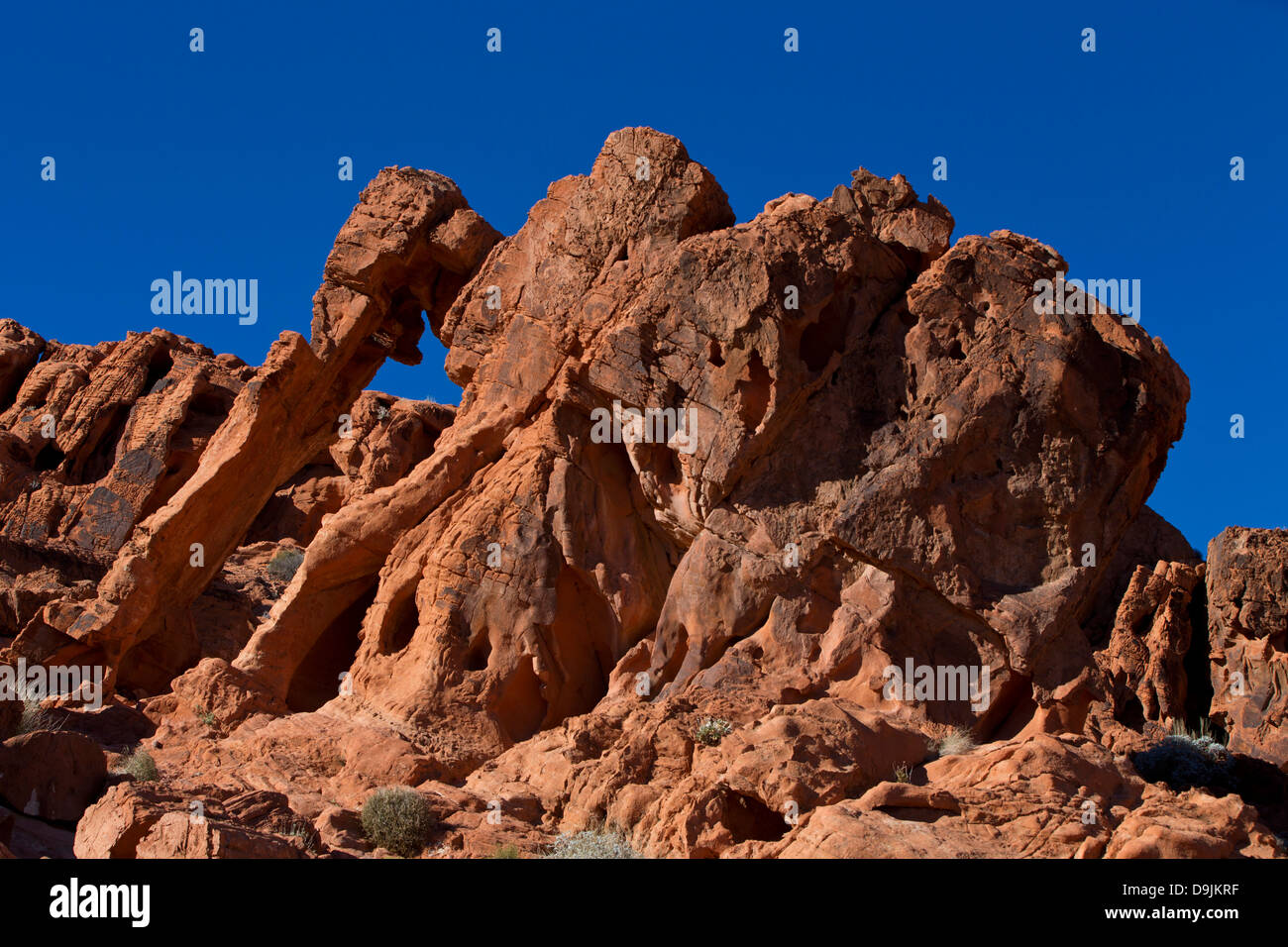 Elephant Rock, pietra arenaria rossa formazione di roccia, la Valle del Fuoco del parco statale, Nevada, Stati Uniti d'America Foto Stock