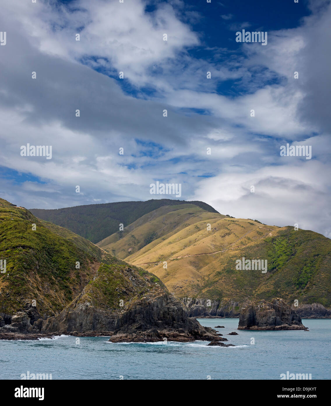 Nuova Zelanda - Mare di Tasman e Isola del Sud Foto Stock