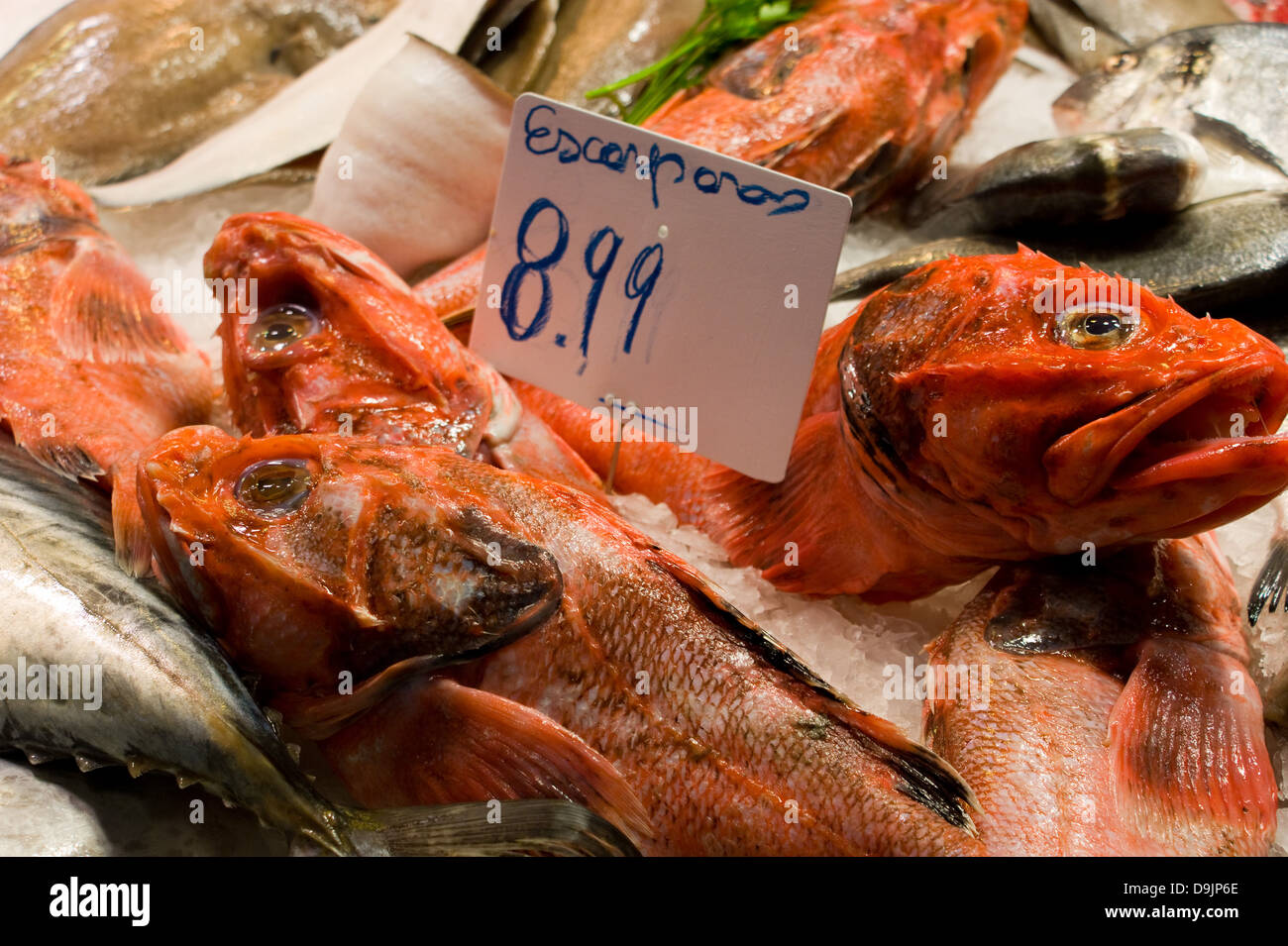 Pesce fresco sul ghiaccio su un mercato in stallo a Barcellona Foto Stock