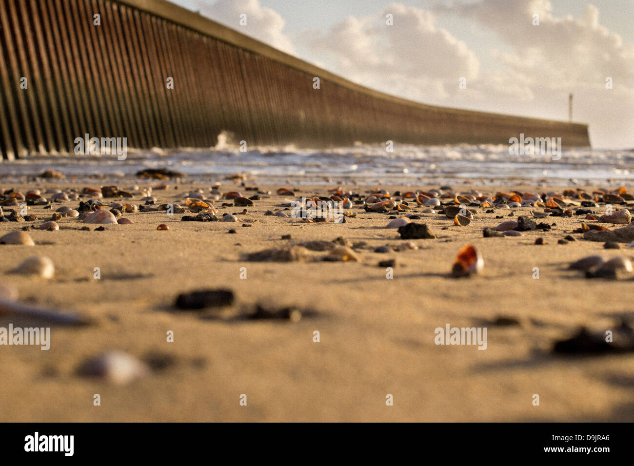 Baia di Swansea e conchiglie di mare sulla spiaggia e molo di parete Foto Stock