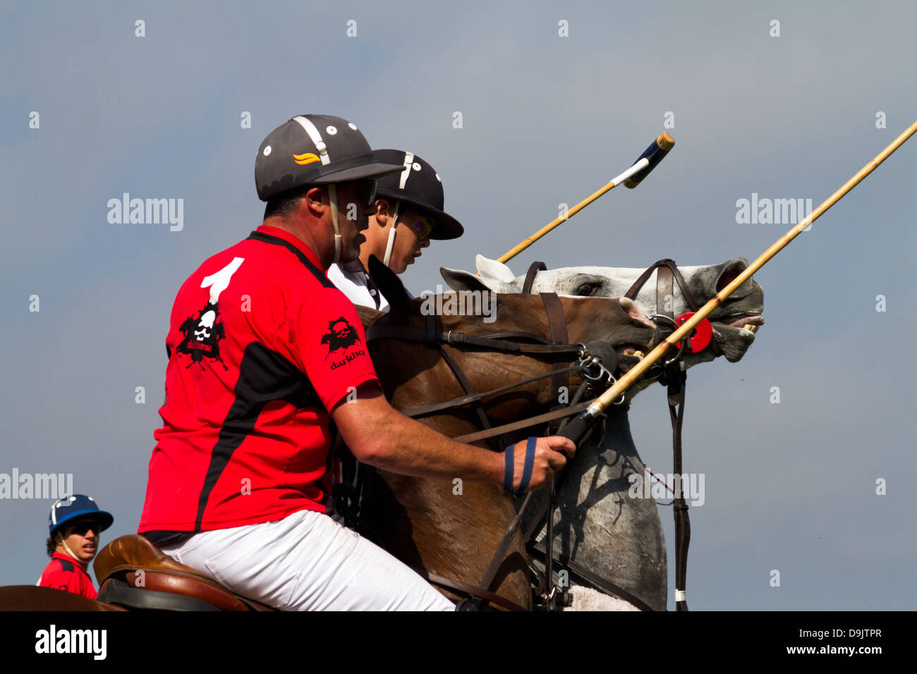 Azione di polo in un match vicino a Santa Barbara, California. Foto Stock