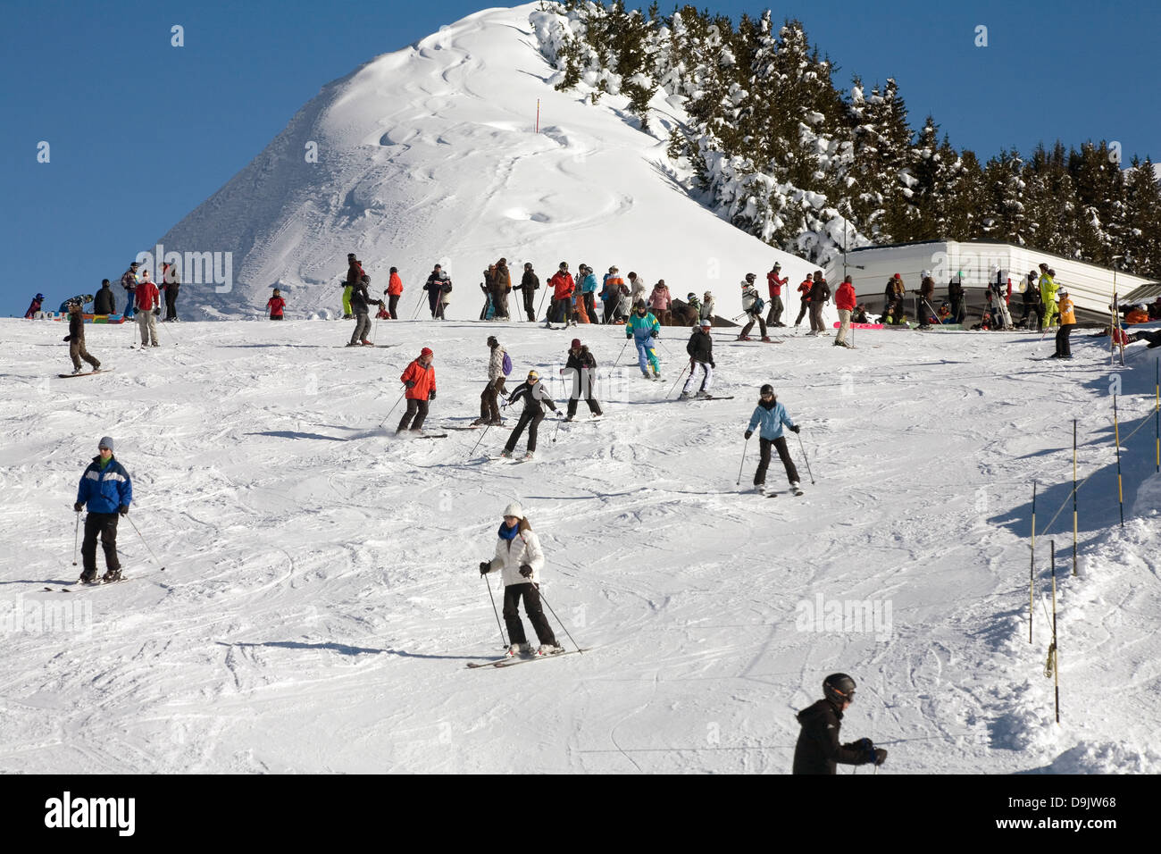 Sciatori e snowboarder scendendo una leggera pista di Avoriaz Portes du Soleil Haute Savoie Francia Foto Stock