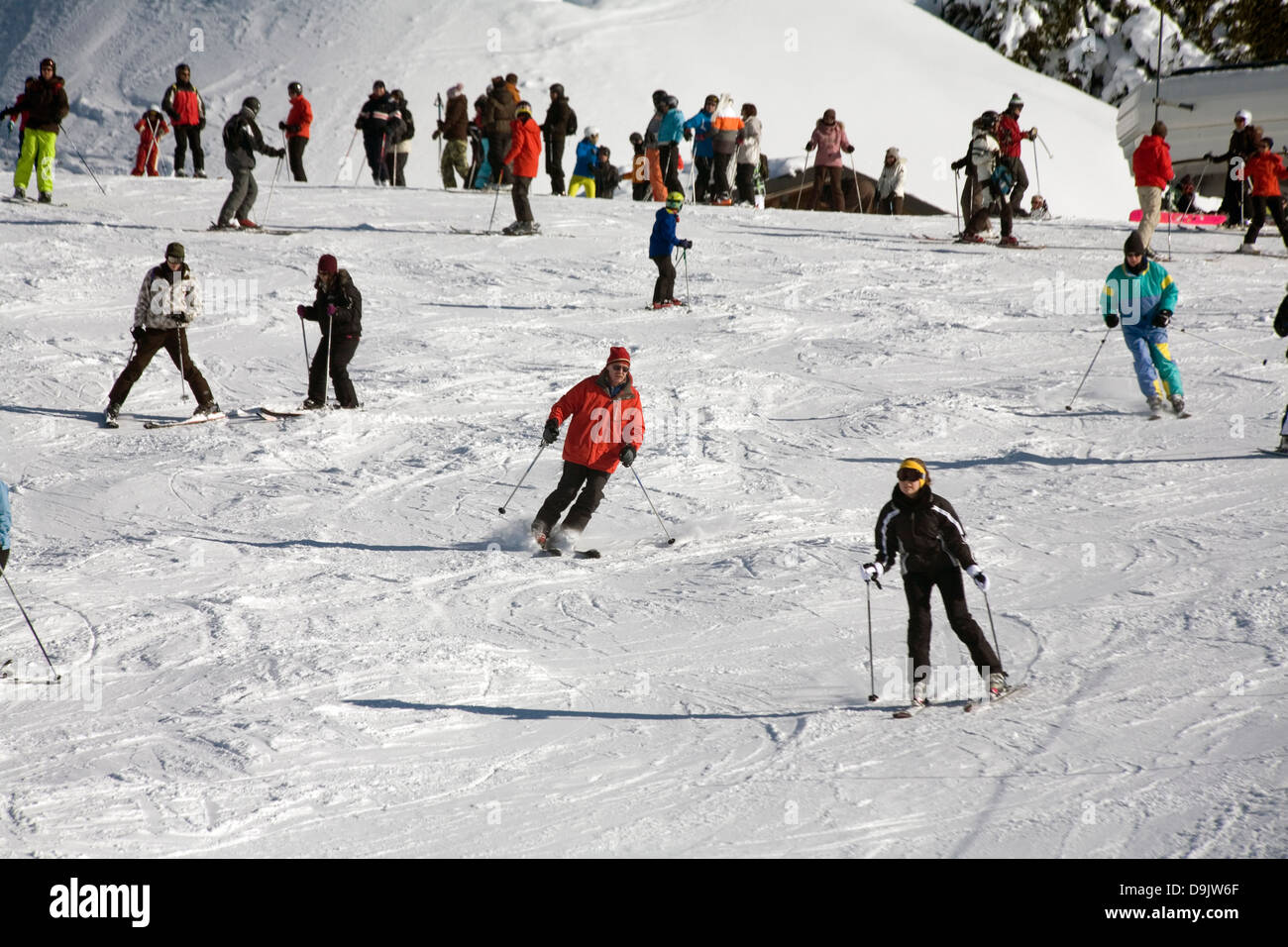 Sciatori e snowboarder scendendo una leggera pista di Avoriaz Portes du Soleil Haute Savoie Francia Foto Stock