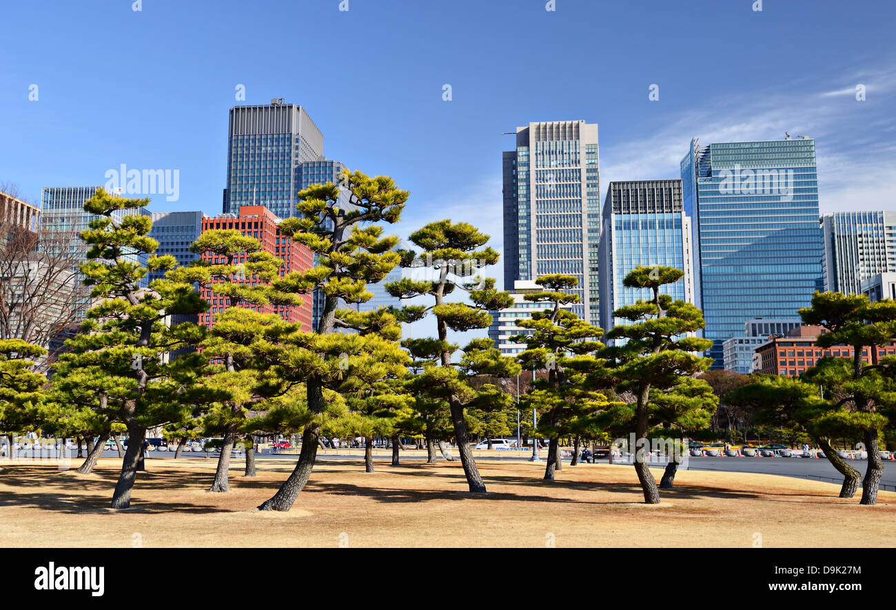 Tokyo, Giappone Marunouchi Business District visto da motivi di Tokyo Imperial Palace. Foto Stock