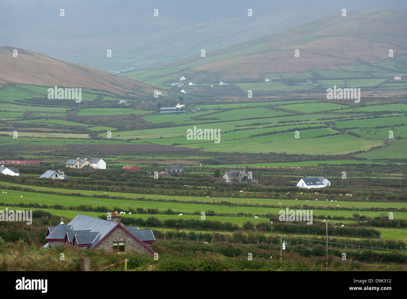 Una vista attraverso il paesaggio rurale di West County Cork in Repubblica di Irlanda Foto Stock