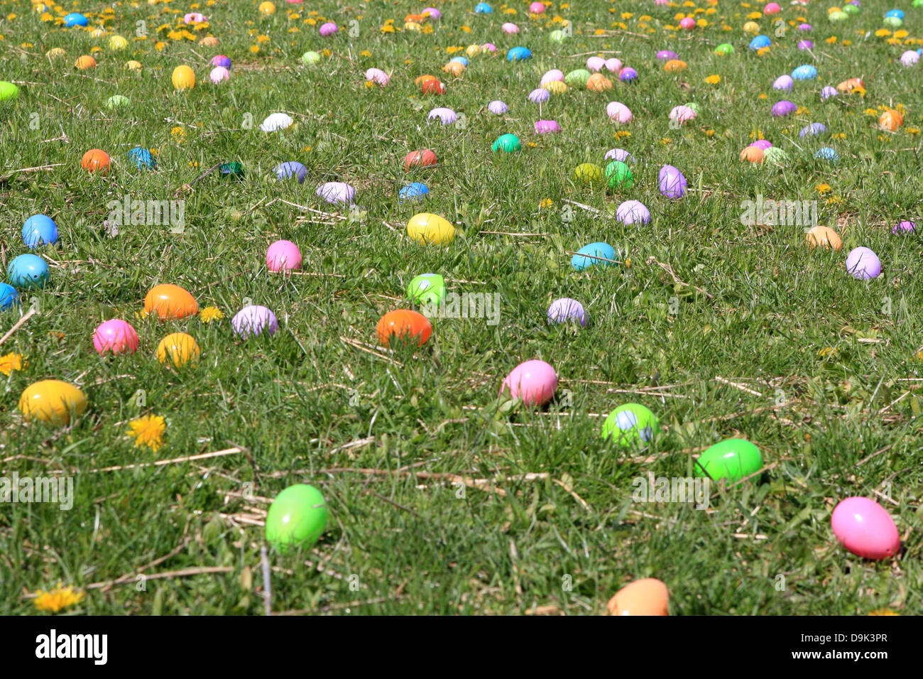 Le uova di pasqua di erba verde colore i colori variopinti multi hunt chiesa cristiana religione religiosi Foto Stock