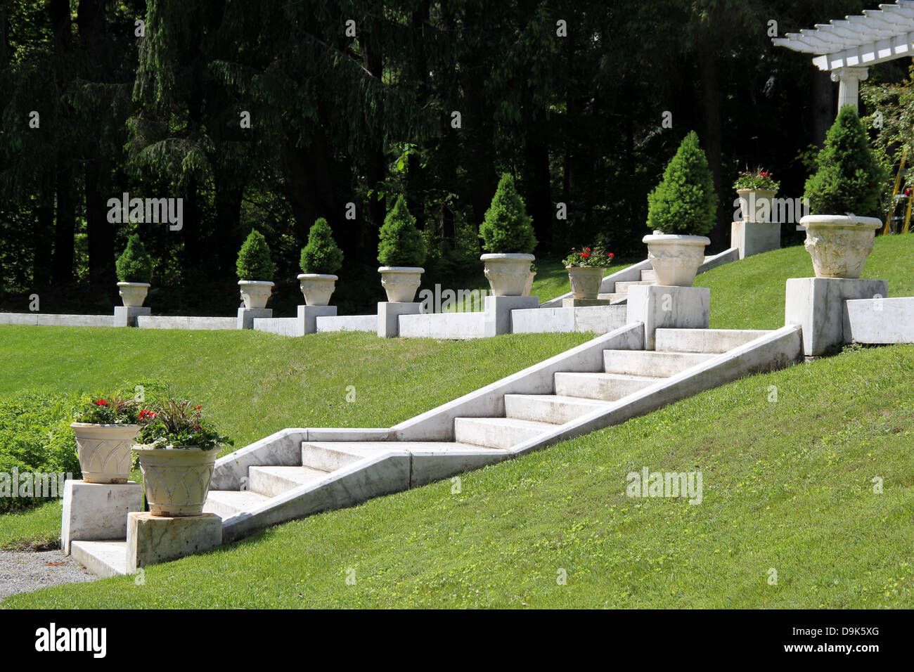 Stupenda scalinata in pietra con vasi di fiori e la linea di pino mugo alberi in vasi in marmo. Foto Stock