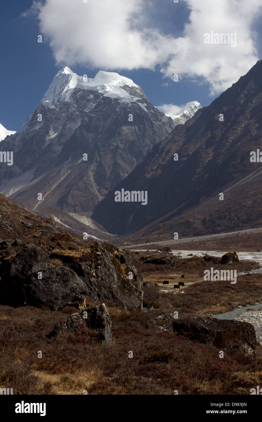 Trekking in Langtang, Nepal verso Langshisha Karka - Langshisha Ri in background Foto Stock