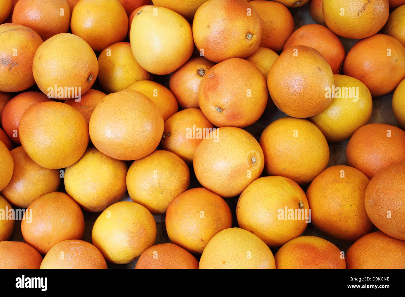 Le arance per la vendita in un greengrocery Foto Stock