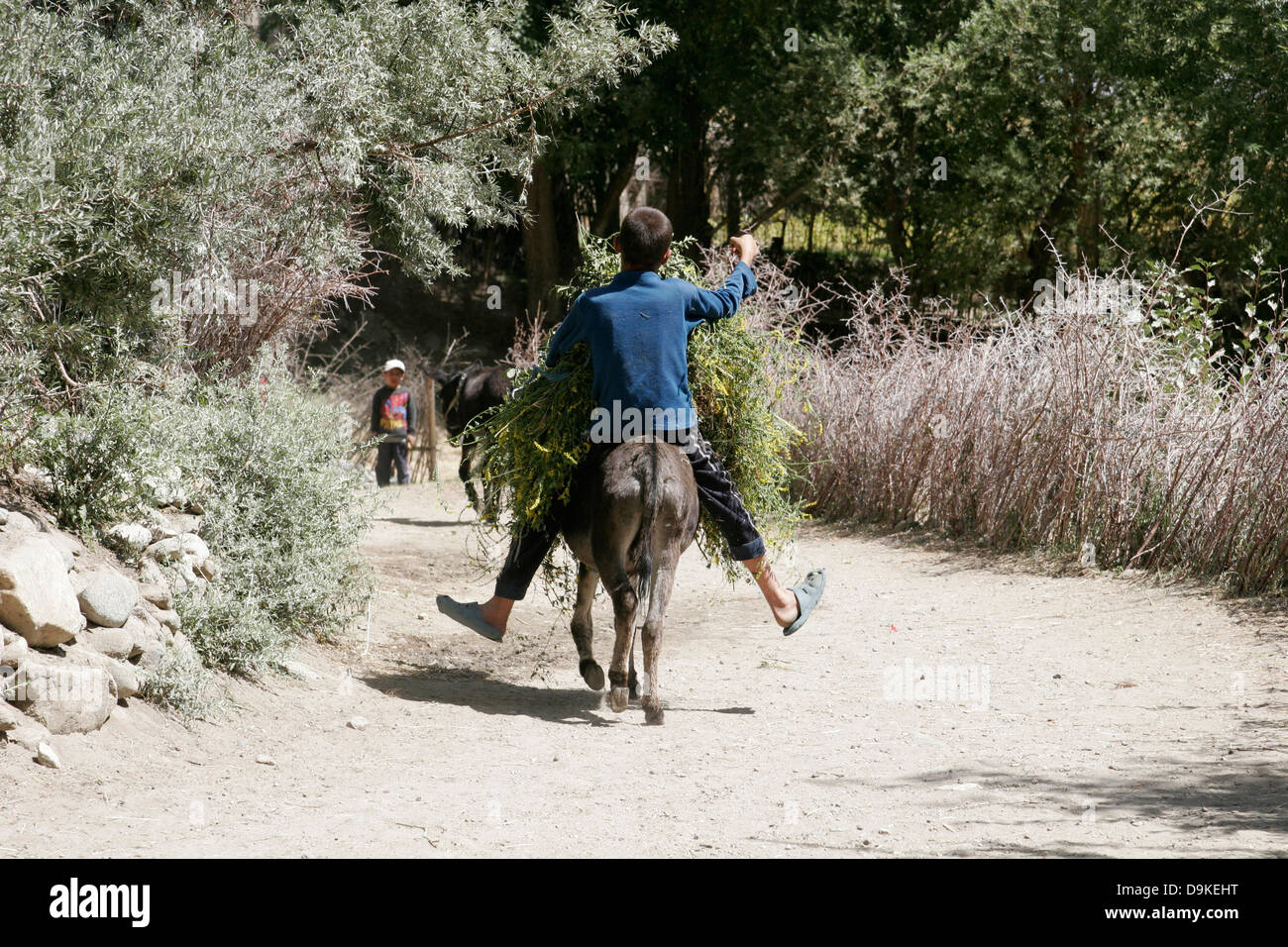 Ragazzo cavalcando un asino, Wakhan Valley, in Tagikistan, in Asia centrale Foto Stock