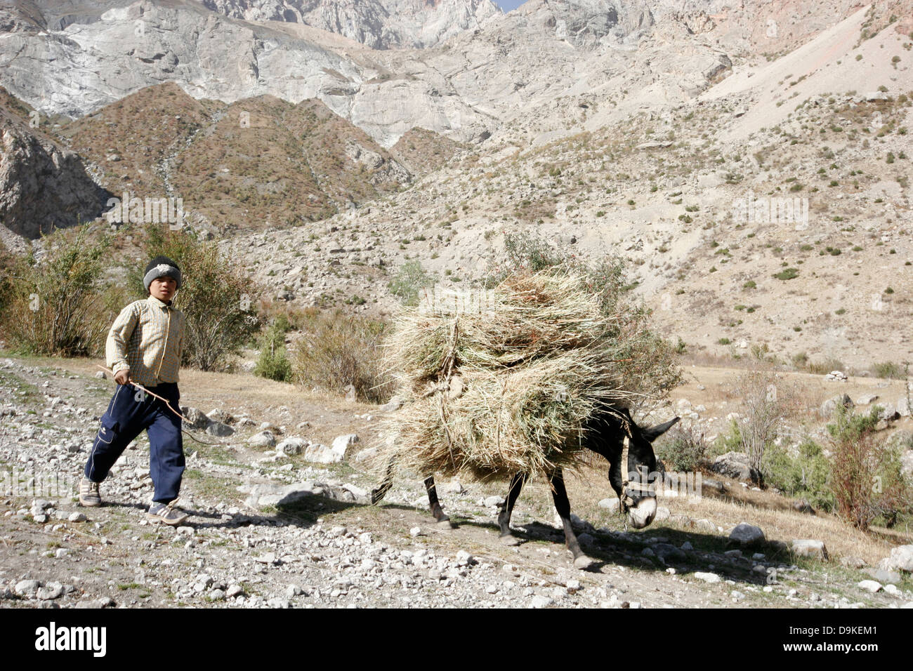 Ragazzo tagiko e asino trasportare erba, Marguzor laghi, Fan di montagna, in Tagikistan, in Asia centrale Foto Stock