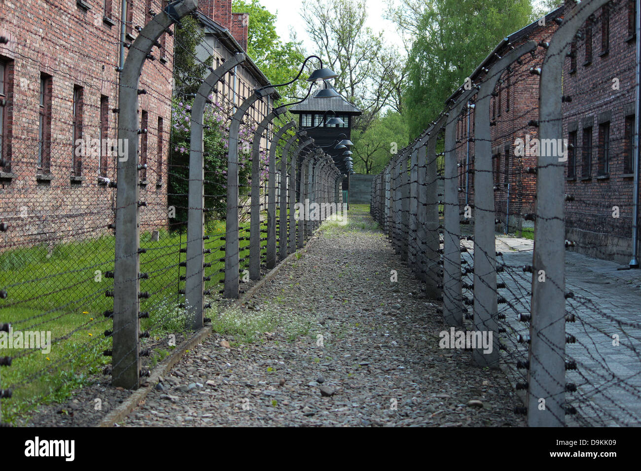 Filo spinato in Auschwitz-Birkenau Museo di Stato. Foto Stock