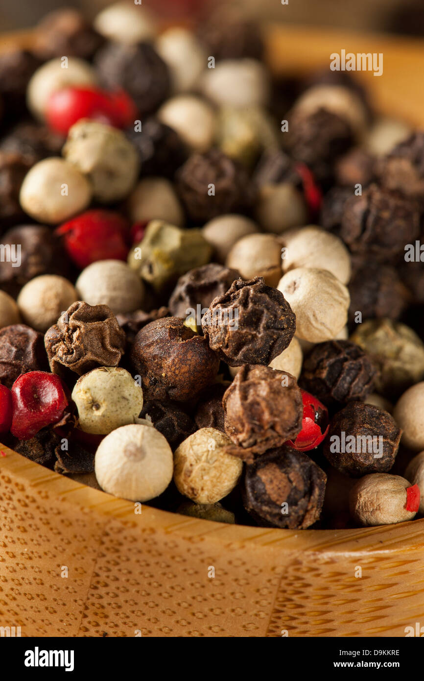 Crudo Intero Peppe quattro Blend contro uno sfondo Foto Stock