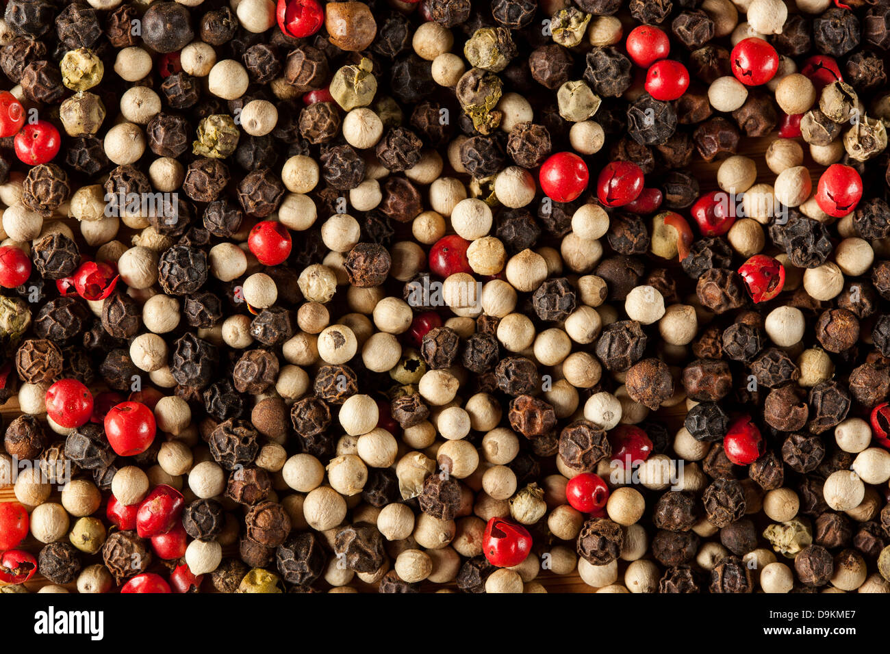 Crudo Intero Peppe quattro Blend contro uno sfondo Foto Stock