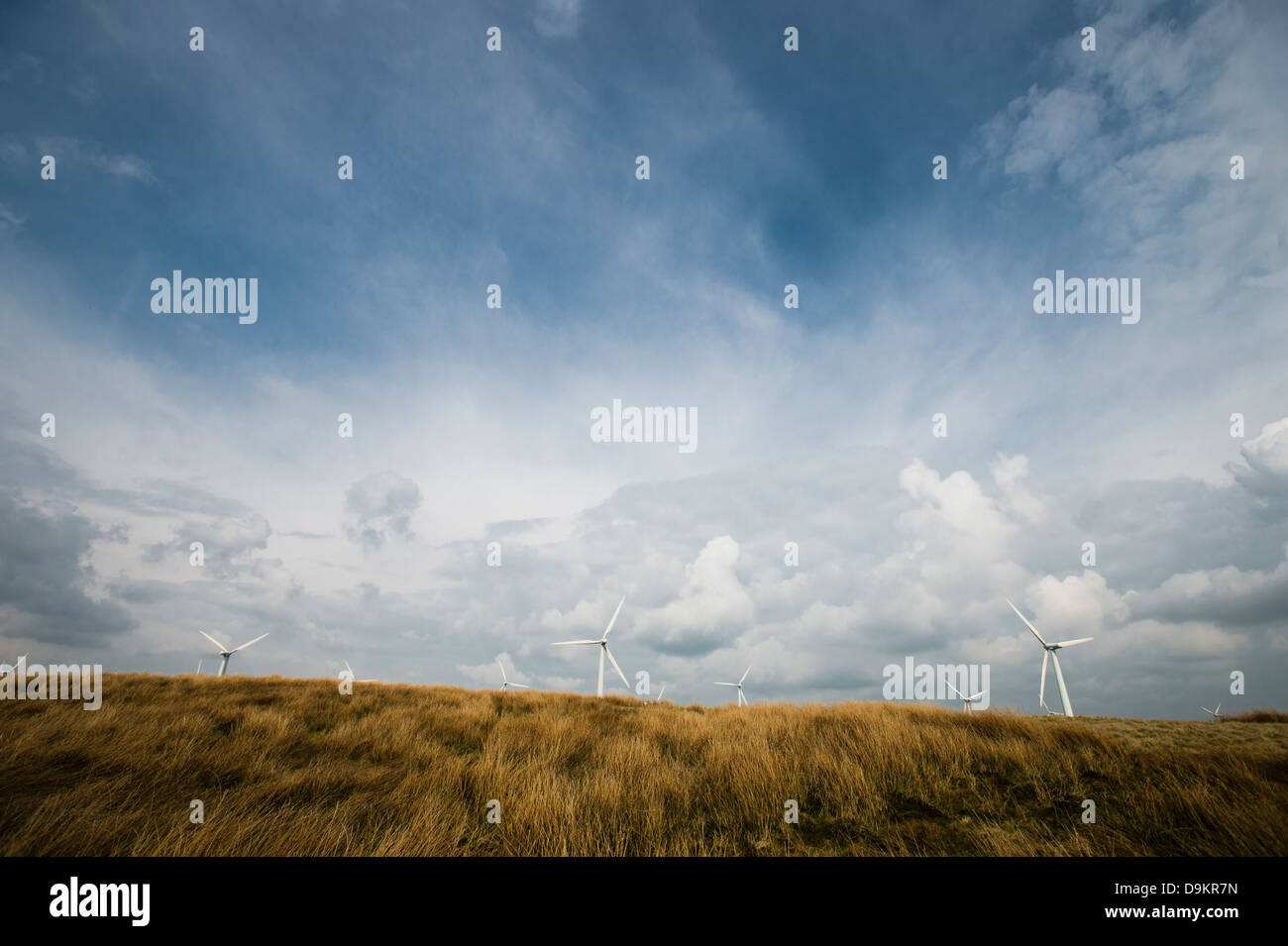 Carno wind farm, Powys, Mid Wales, Regno Unito Foto Stock