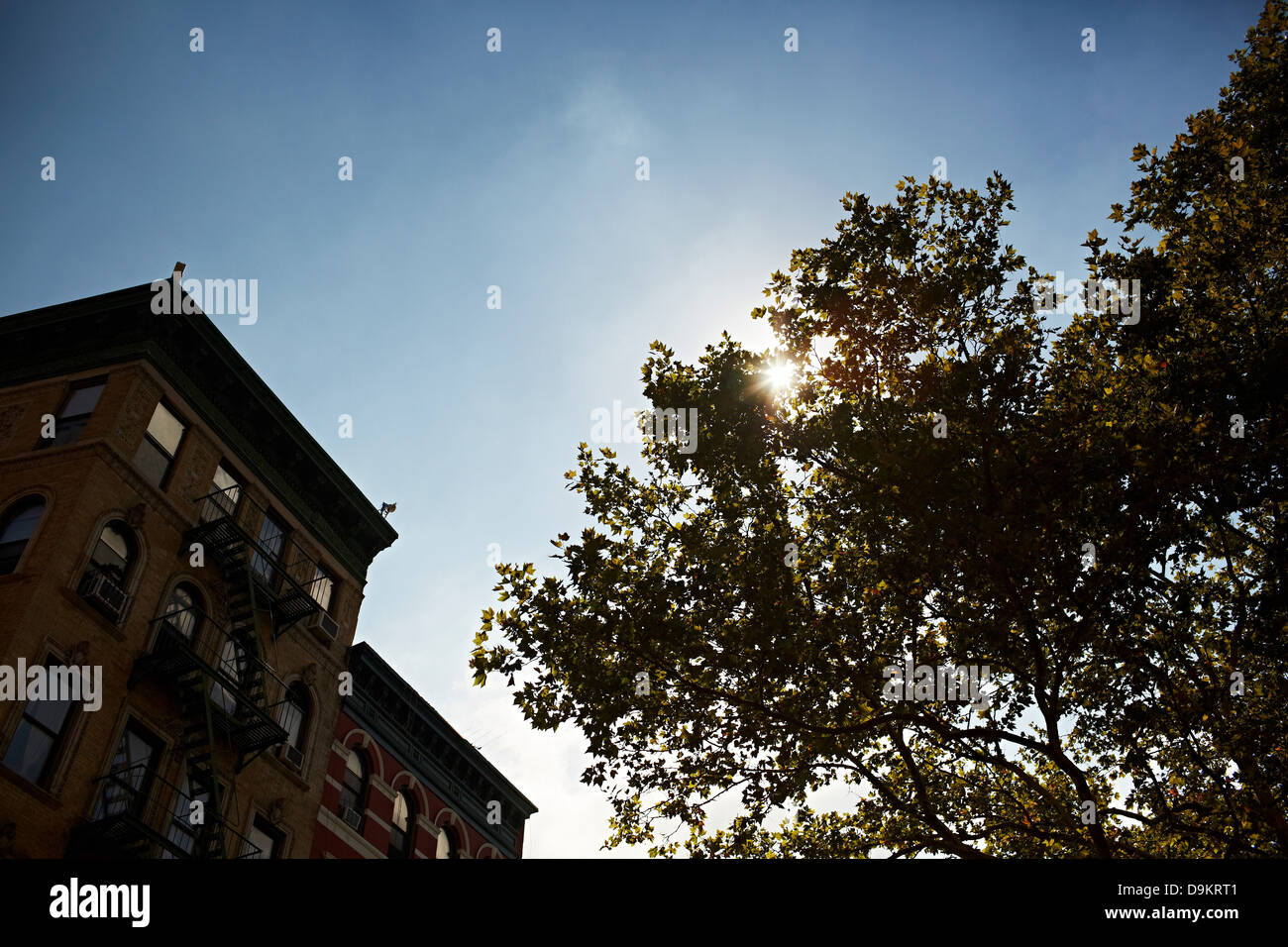 Edificio di appartamenti di New York City, Stati Uniti d'America Foto Stock