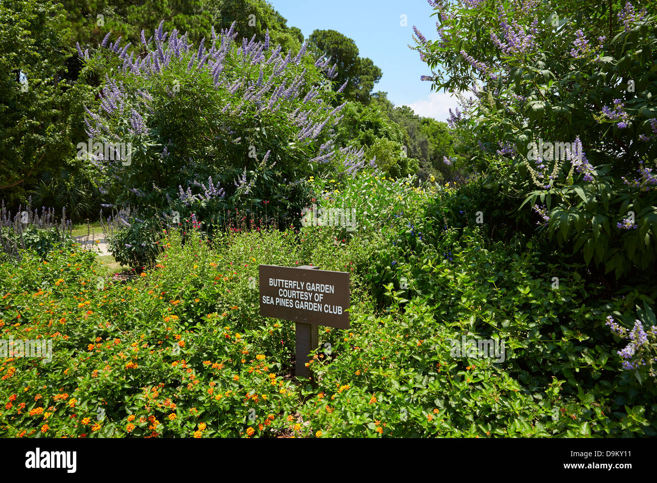 Giardino delle farfalle in Sea Pines Forest Preserve, Hilton Head, Carolina del Sud. Foto Stock