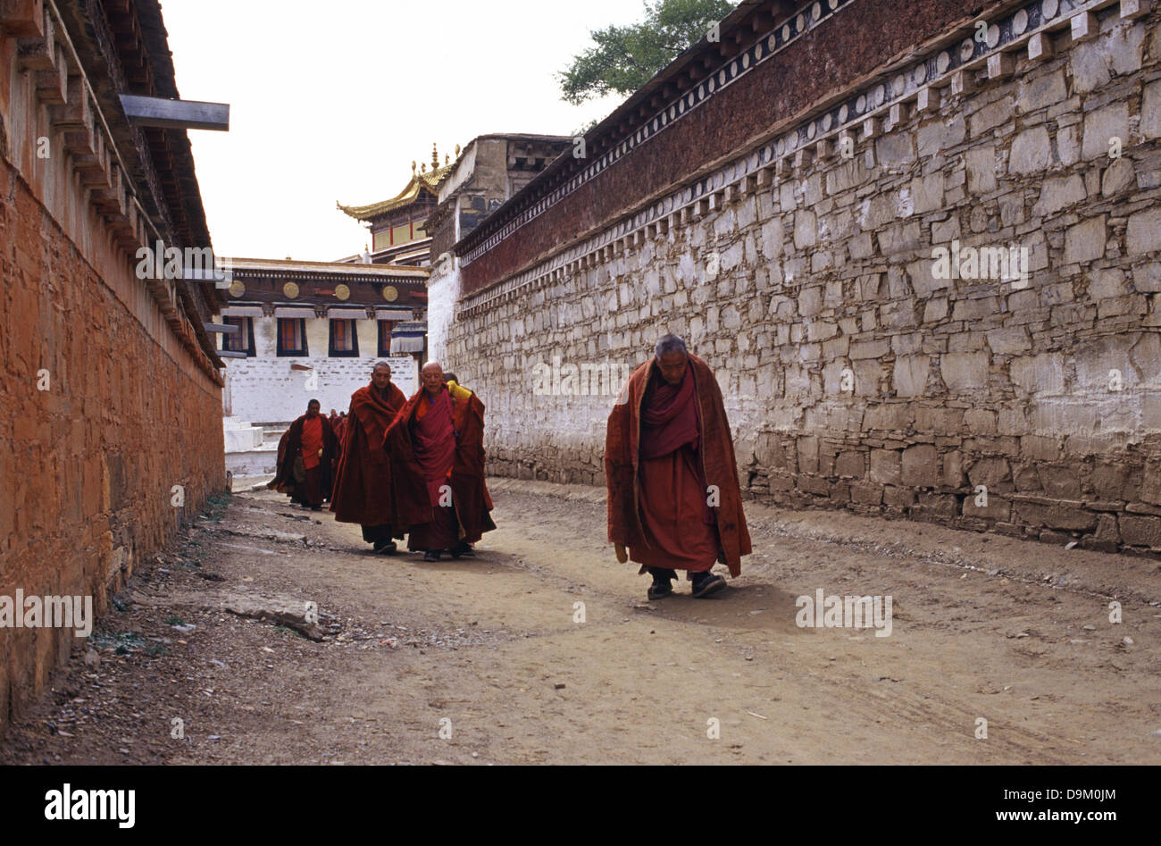 Monaci Tibetani in Labuleng Si o monastero Labrang uno dei sei grandi monasteri della scuola Gelug del buddhismo tibetano situato ai piedi della montagna di Phoenix a nord-ovest della contea di Xiahe in tibetano Gannan nazionalità prefettura autonoma, provincia di Gansu in Cina Foto Stock