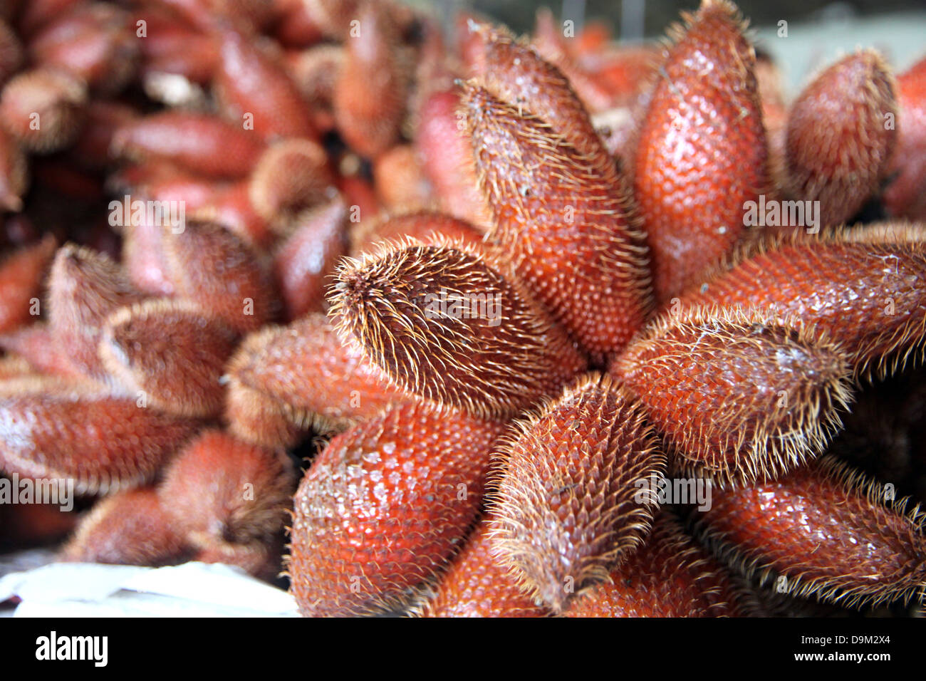 Salacca frutto dolce e aspro,frutto dalla Thailandia. Foto Stock