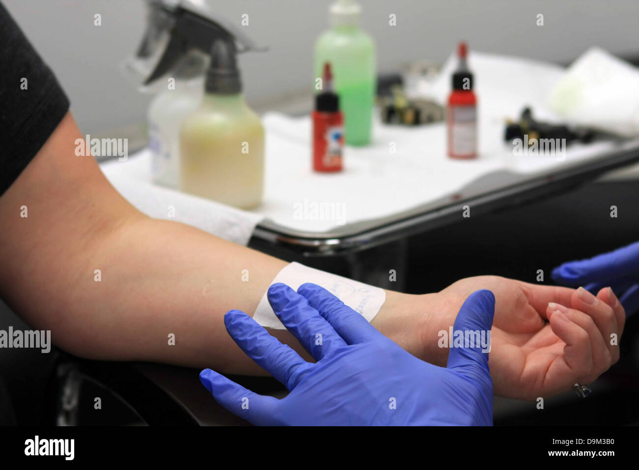 Persona che viene preparata con stencil a farsi un tatuaggio sul polso sinistro, artista indossando guanti blu, forniture in background, artista Foto Stock
