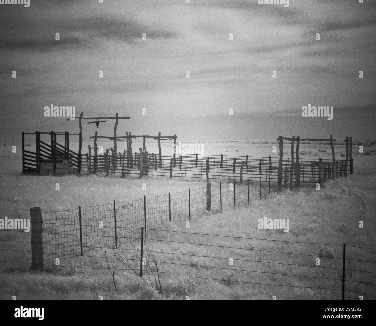 Immagine infrarossa recinzioni della pianura Foto Stock