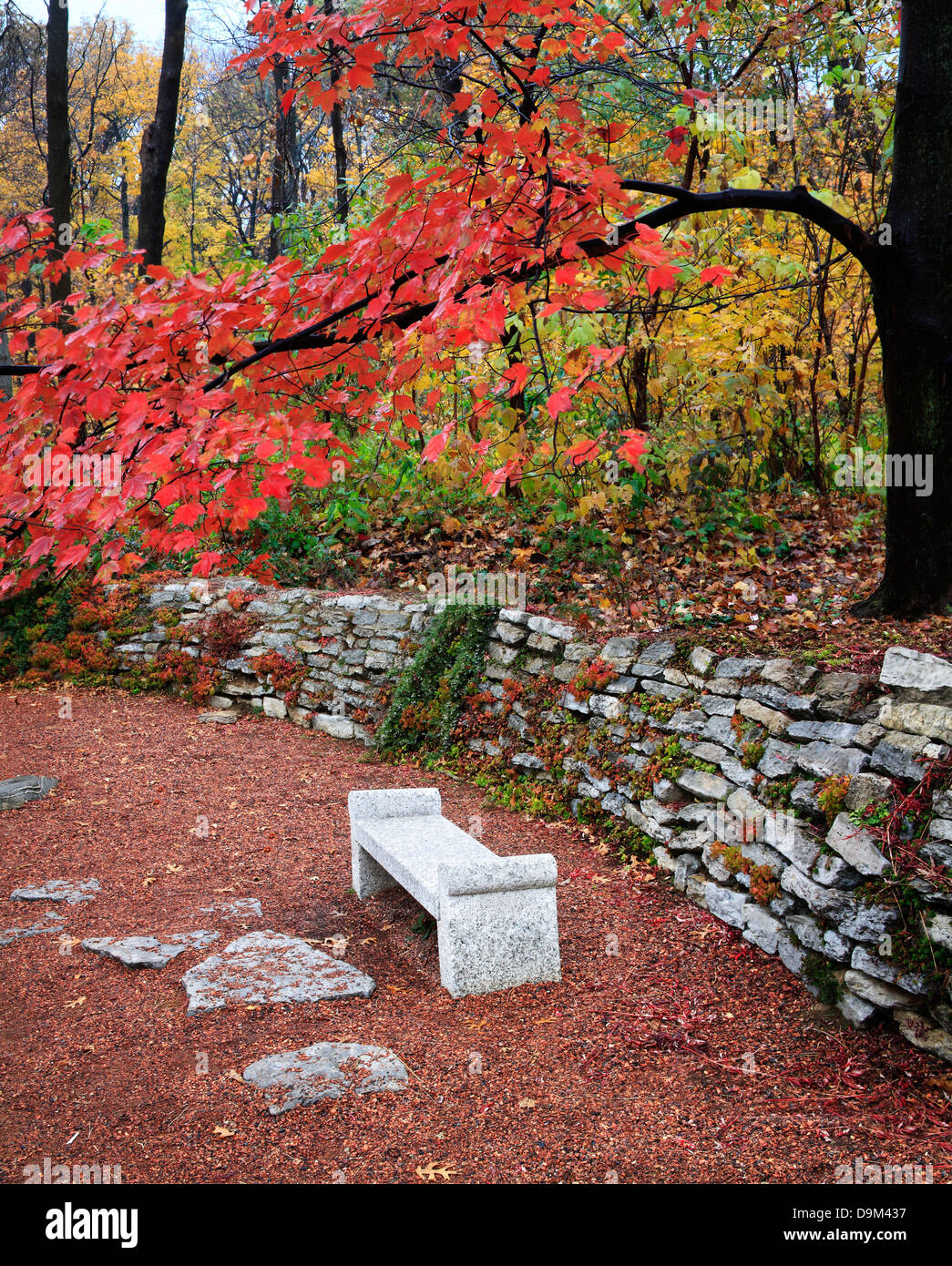 Una panchina nel parco e muro di pietra sotto i colori brillanti di una piovosa giornata autunnale, Southwestern Ohio, Stati Uniti d'America Foto Stock