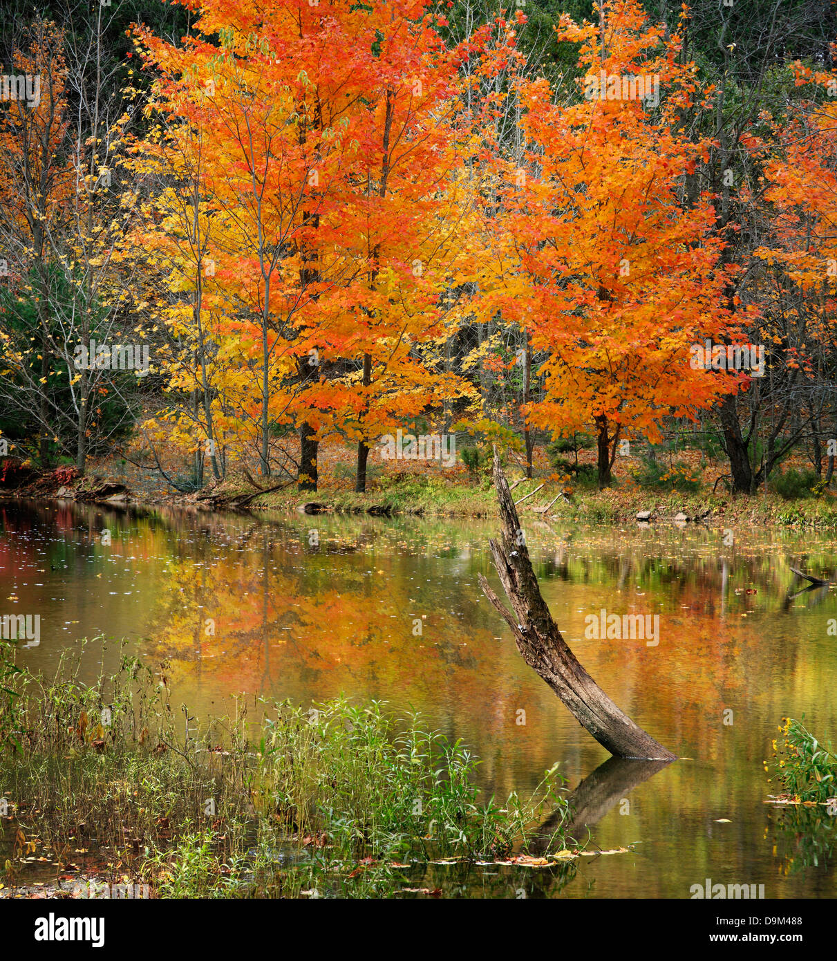 La bellezza pastorale di Cesare Creek In autunno, Southwestern Ohio, Stati Uniti d'America Foto Stock