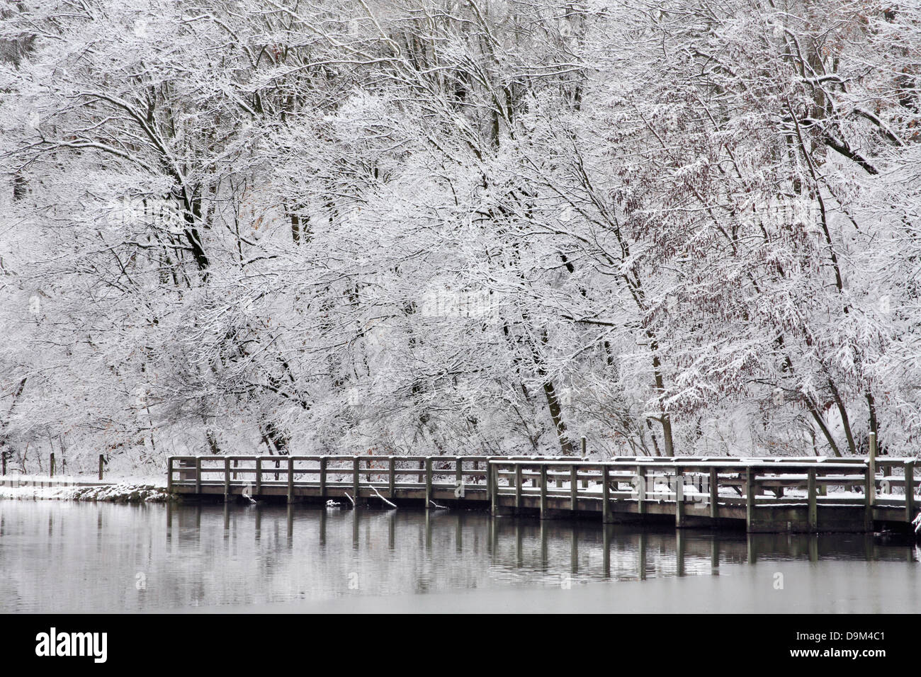 Coperta di neve alberi, percorso e il ponte di legno lungo la riva del lago durante l'Inverno nel parco, Sharon boschi, Southwestern Ohio, Stati Uniti d'America Foto Stock