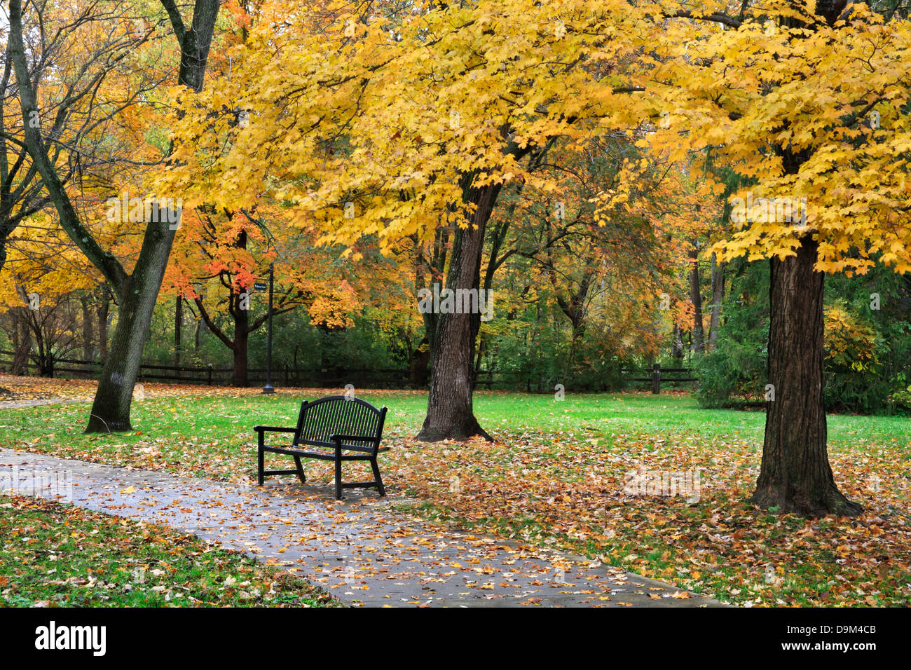 Un percorso a piedi e una panchina nel parco in mezzo ai colori brillanti di una piovosa giornata autunnale, Sharon boschi, Southwestern Ohio, Stati Uniti d'America Foto Stock