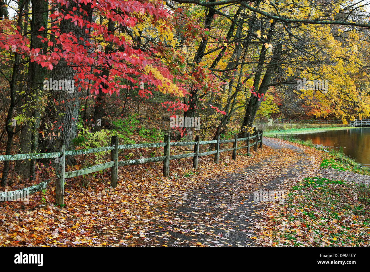 Un percorso a piedi e una recinzione lungo un lago in un giorno di pioggia in mezzo i brillanti colori dell'autunno, Sharon boschi, Southwestern Ohio, Stati Uniti d'America Foto Stock