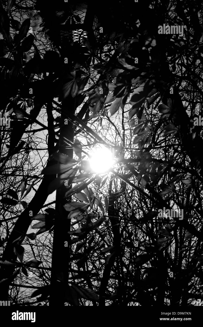 Tramonto con raggi solari Foto Stock