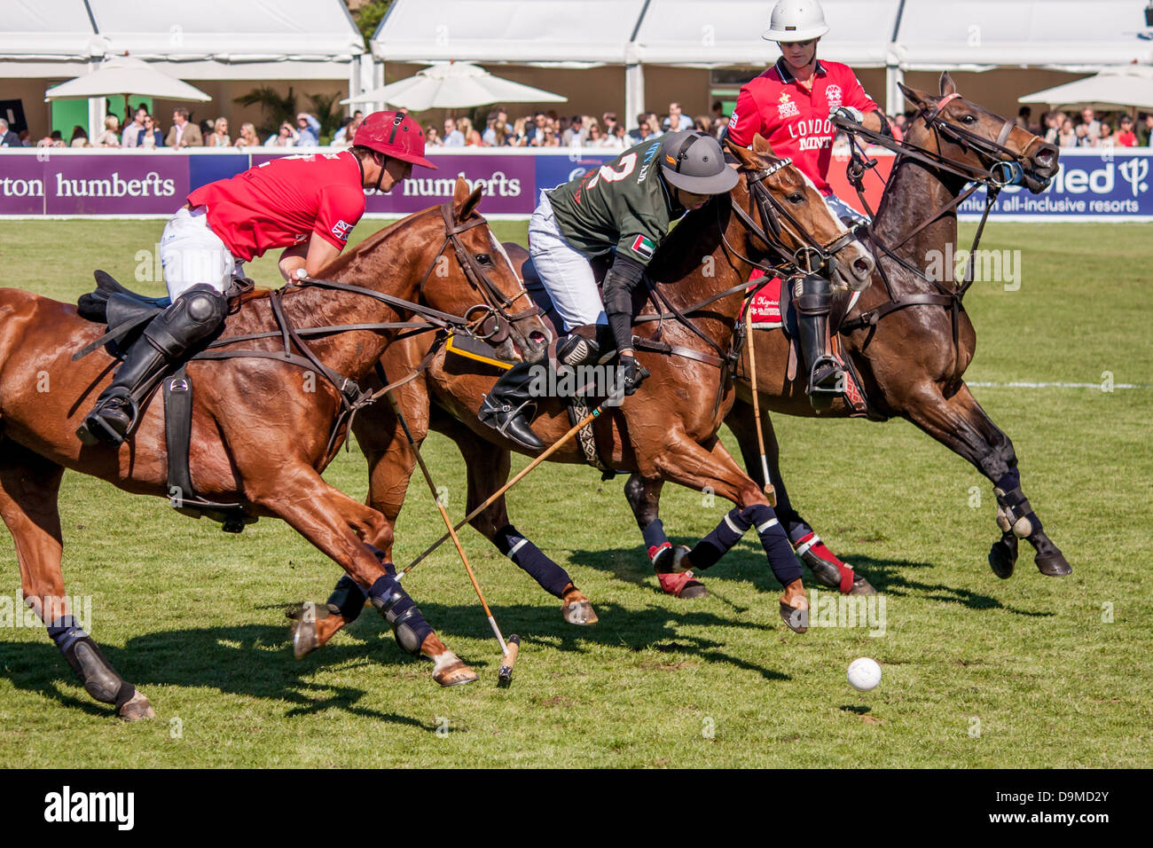 Azione a una partita di polo. Foto Stock