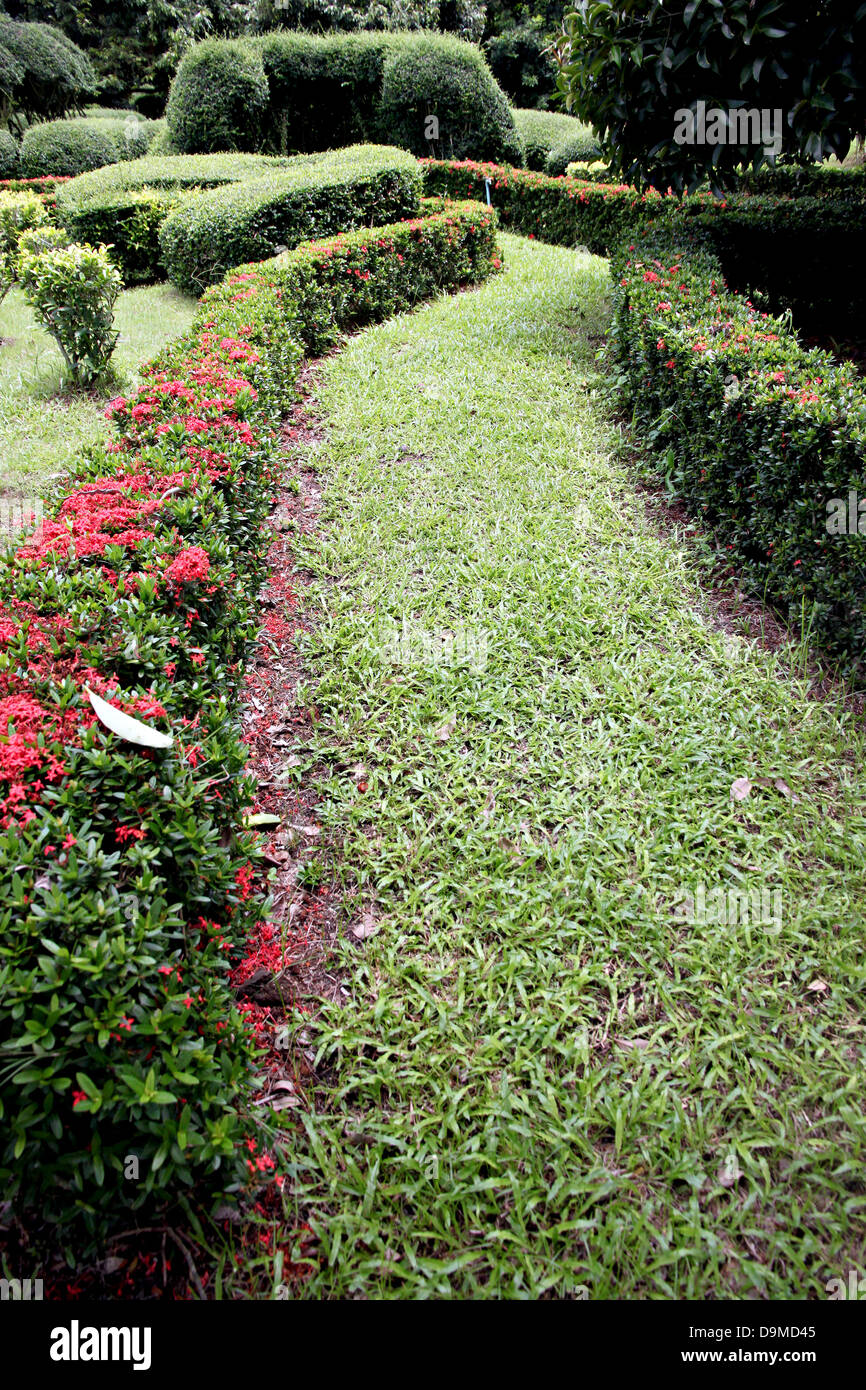 La passeggiata nel parco,Corridoio pavimentato con erba e fiori accanto a. Foto Stock