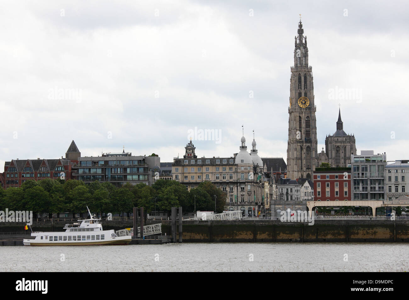 Skyline di Anversa con la Cattedrale di Nostra Signora presso il fiume Schelda Foto Stock