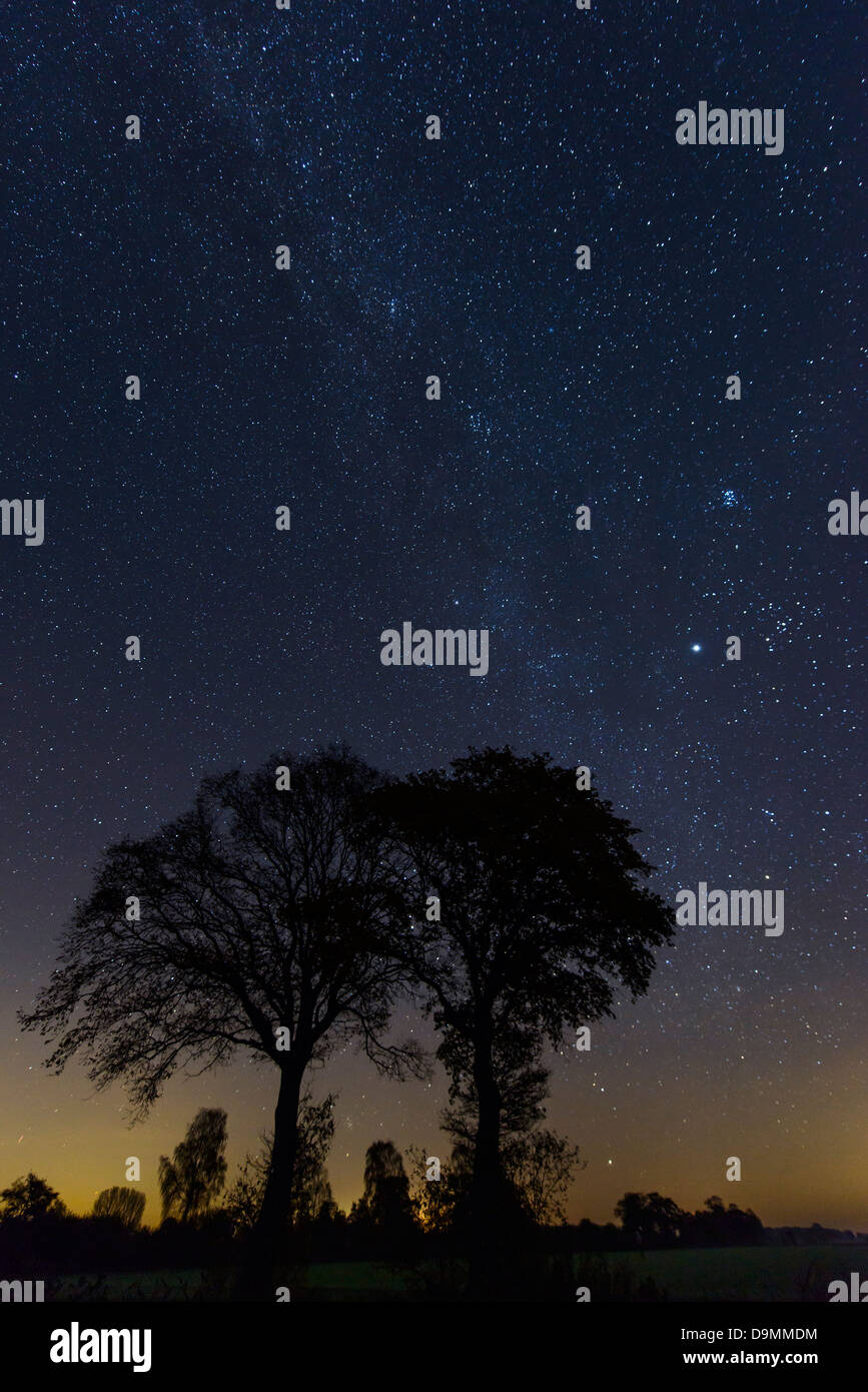 Astronomia Via Lattea notte stelle Foto Stock