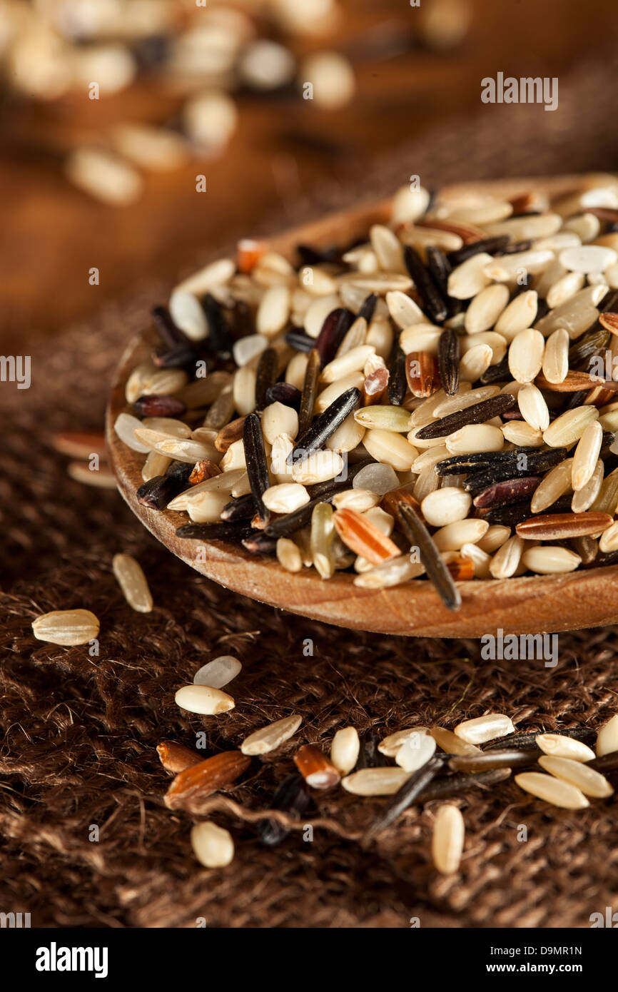 Secchi organici Multi chicco di riso contro uno sfondo Foto Stock