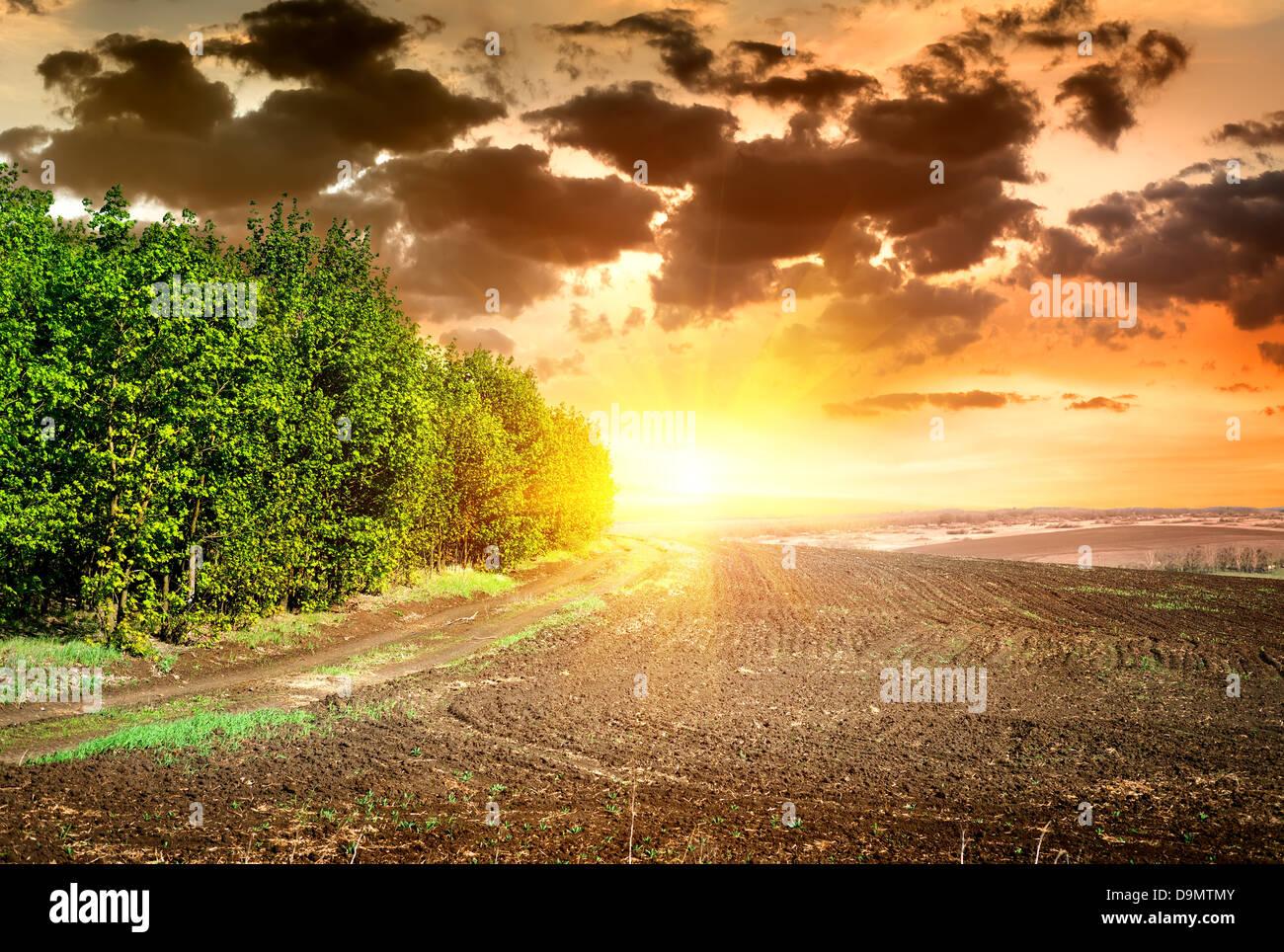 Di scena sul tramonto su nero campo arato Foto Stock