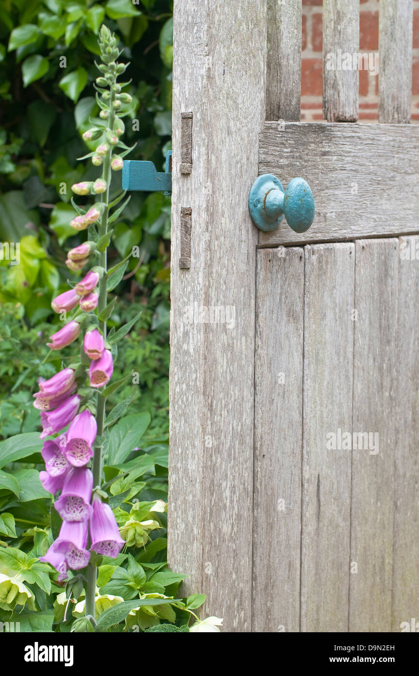 Il giardino segreto entrata. Vecchia porta di legno nel giardino inglese. Foto Stock