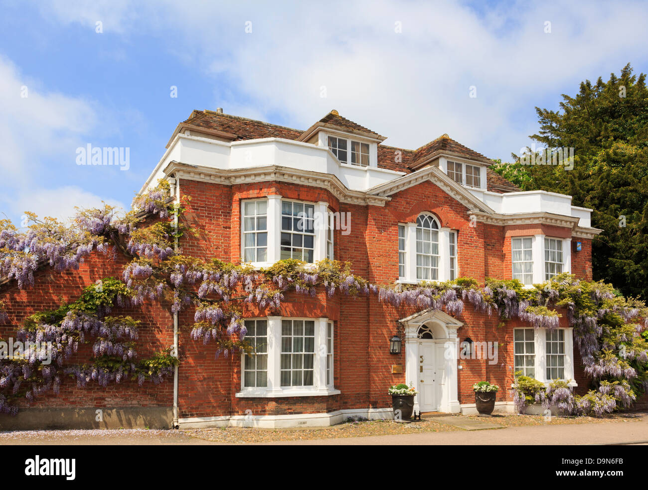 Il Glicine floribunda crescente attorno ad un rosso-mattone Georgian House anteriore nel pittoresco villaggio. Lavenham Suffolk England Regno Unito Gran Bretagna Foto Stock