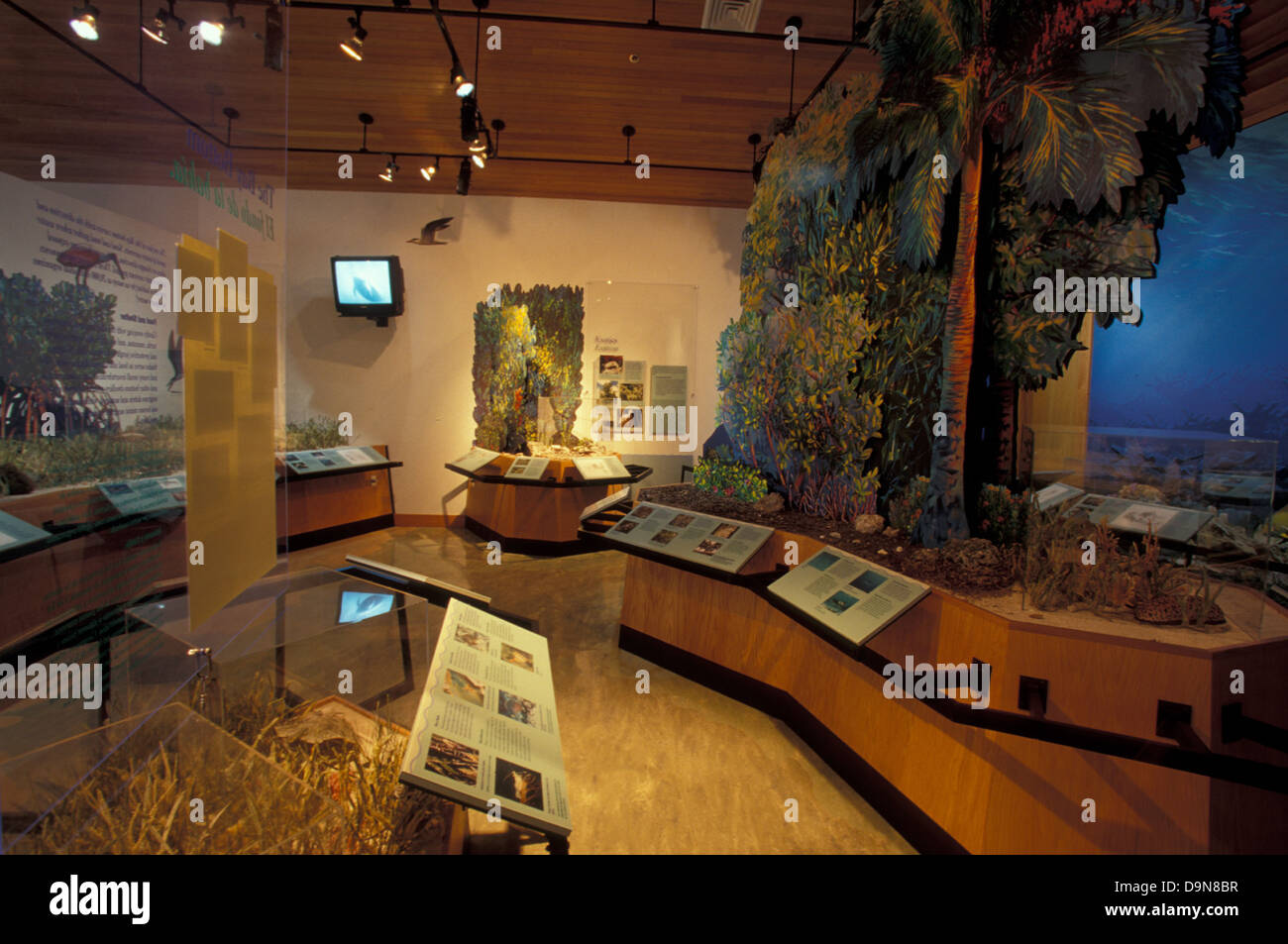 Il Centro visitatori Dante Fascell del Parco Nazionale di Biscayne offre ai visitatori uno spazio informativo con mostre sulle risorse naturali e culturali del parco, fornendo una comprensione più approfondita dei suoi ecosistemi e degli sforzi di conservazione. Foto Stock
