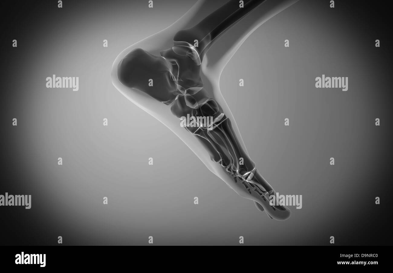 Vista a raggi X del piede umano. Foto Stock