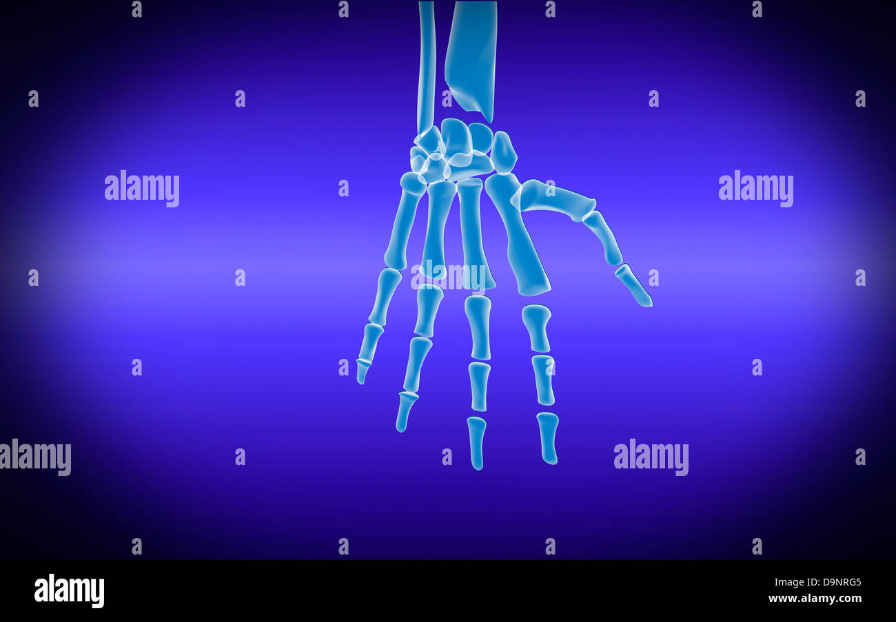 Vista a raggi X della mano umana. Foto Stock