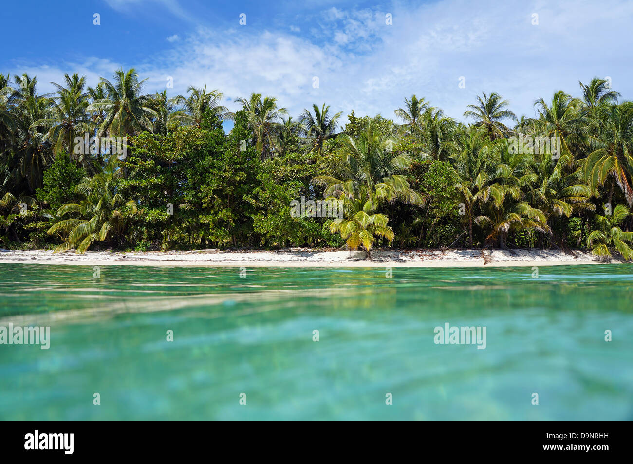 Vista dalla superficie dell'acqua su una spiaggia tropicale con vegetazione lussureggiante, Caraibi, Zapatillas isles, Bocas del Toro, Panama Foto Stock