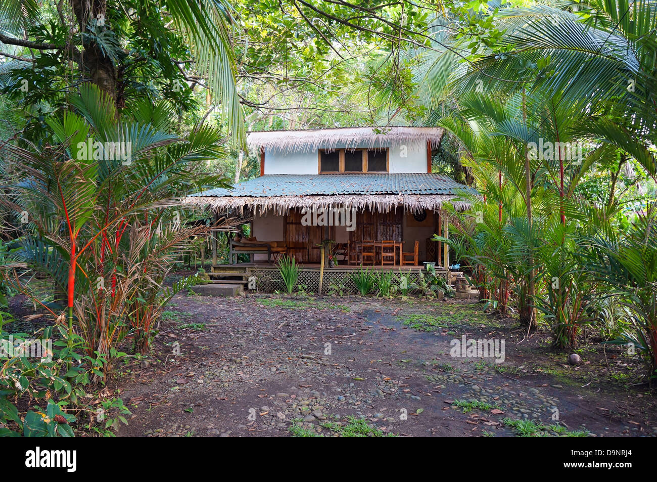 Casa tropicale con vegetazione esotica nella costa caraibica del Costa Rica Foto Stock