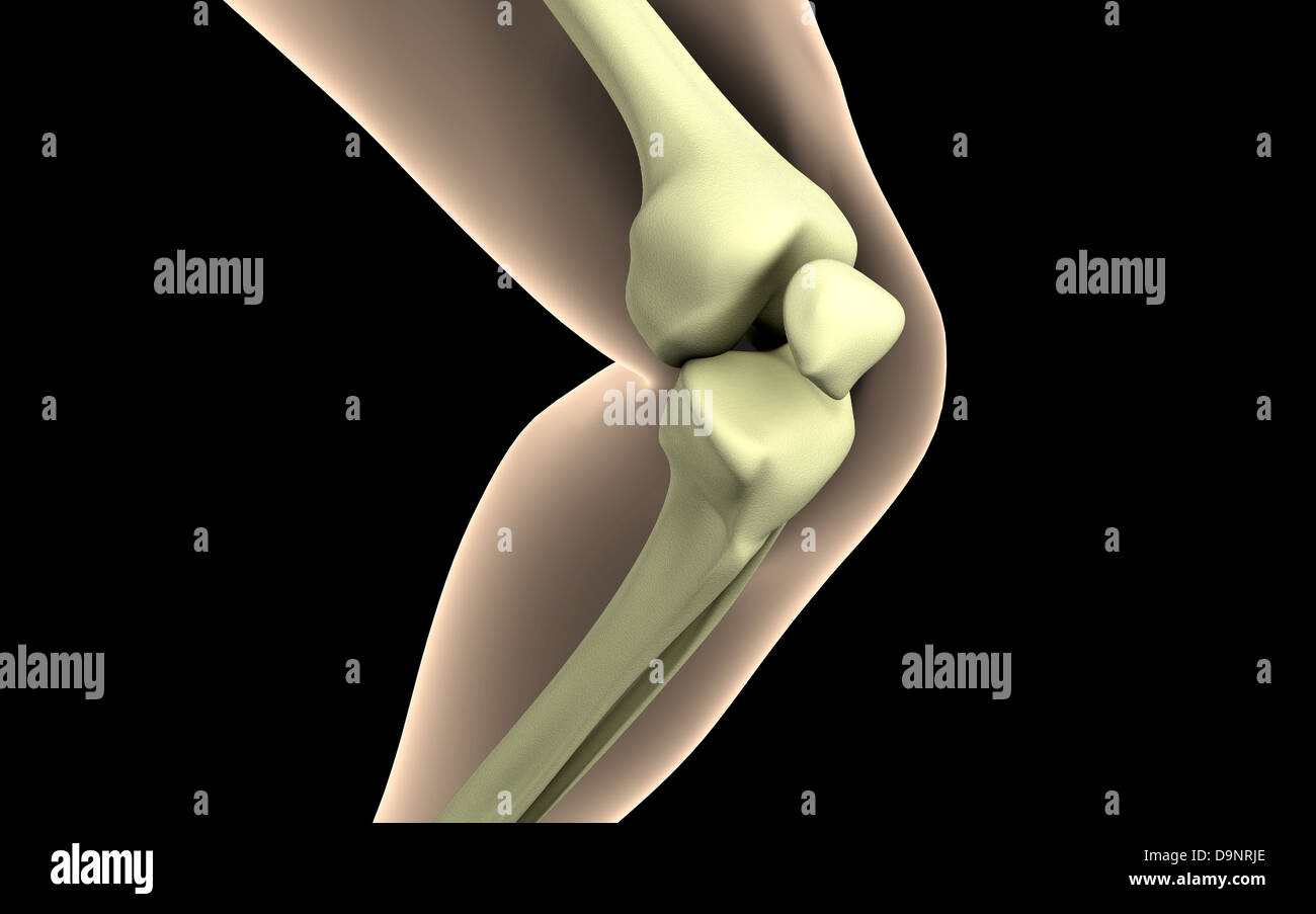 Immagine a raggi X del ginocchio. Foto Stock