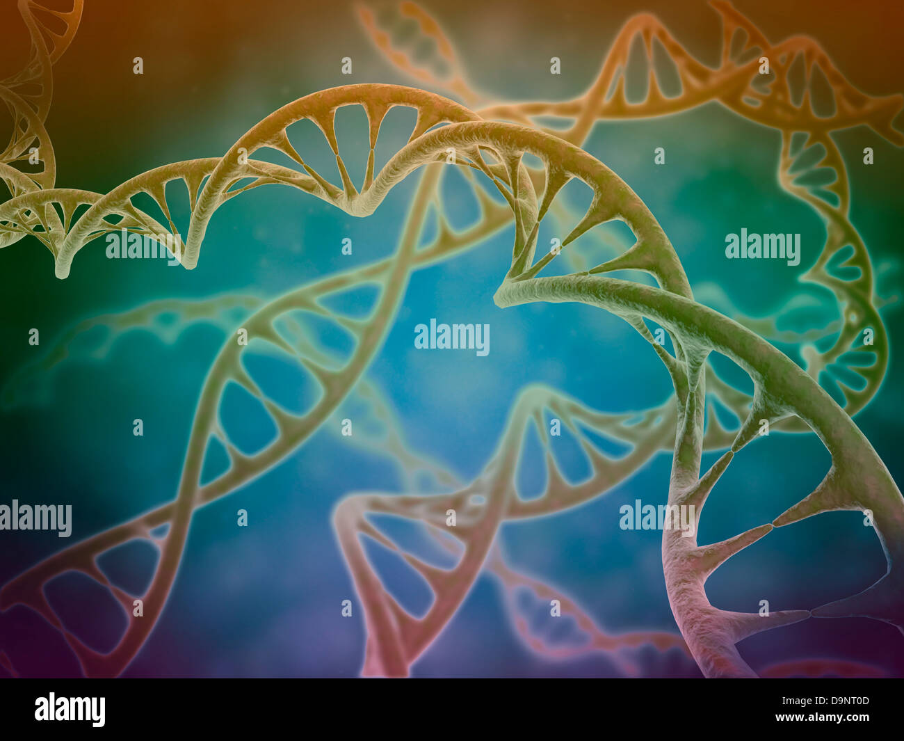Cluster di filamenti di DNA del DNA umano o acido deossiribonucleico. Foto Stock