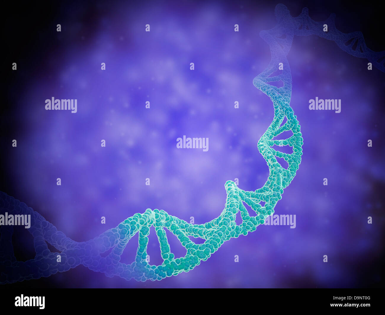 Rappresentazione stilizzata di filamenti di DNA umano o acido deossiribonucleico. Foto Stock