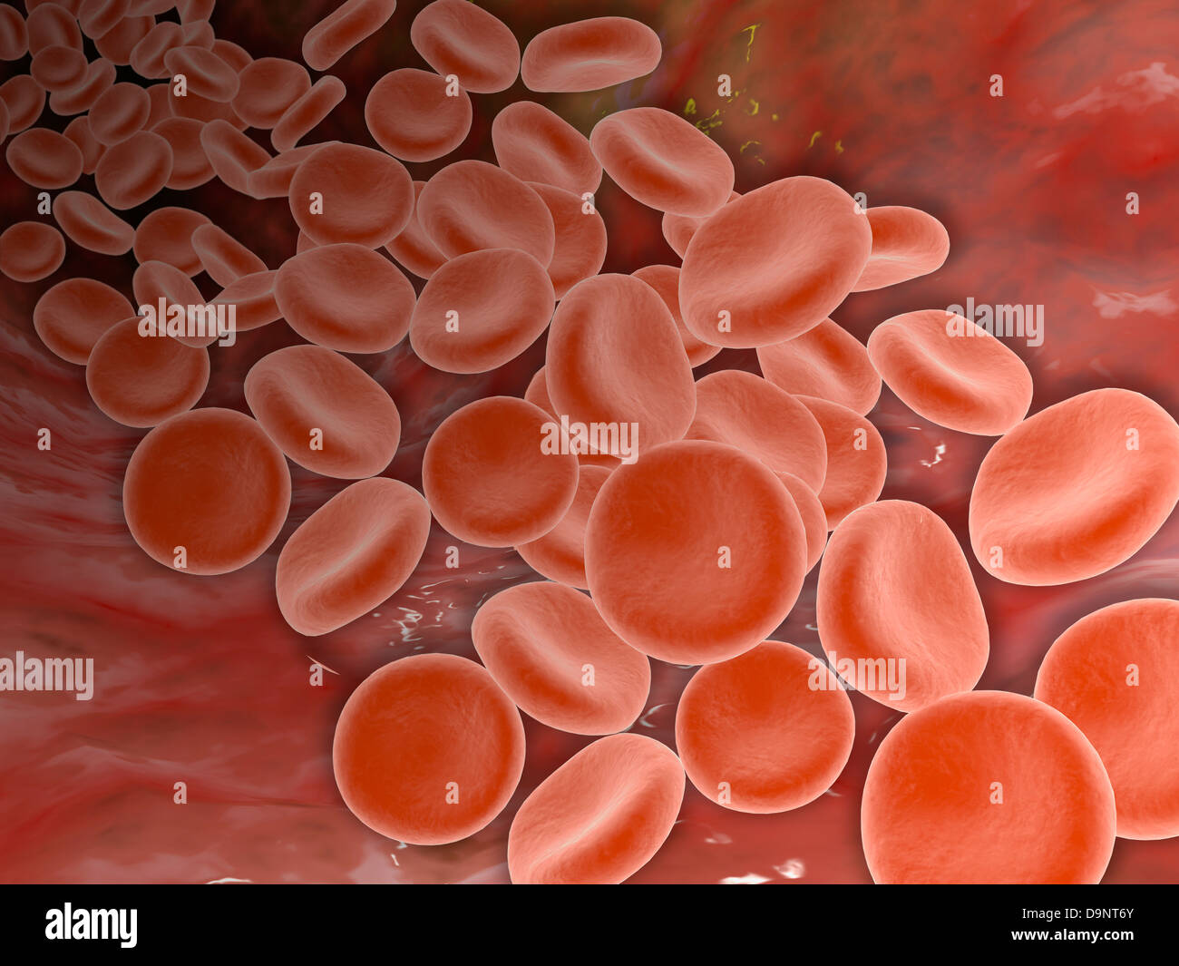 Vista interna dell'arteria con le cellule rosse del sangue. Foto Stock