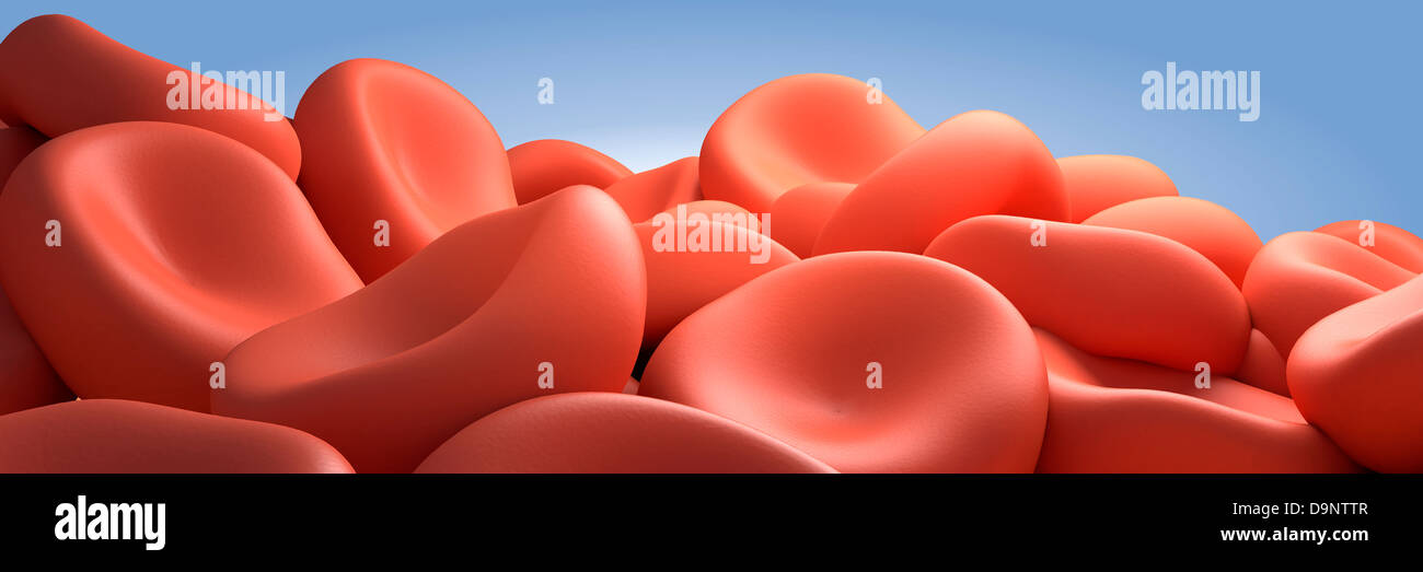 Immagine concettuale di cellule rosse del sangue. Foto Stock